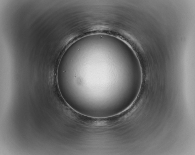 X0000115551313200911131556