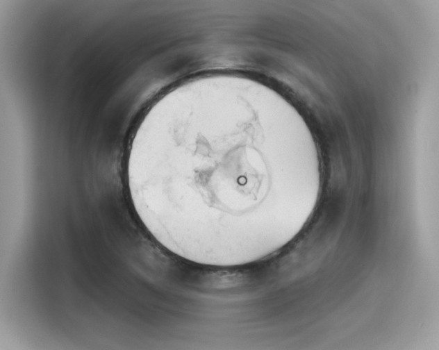X0000115551314200911131556