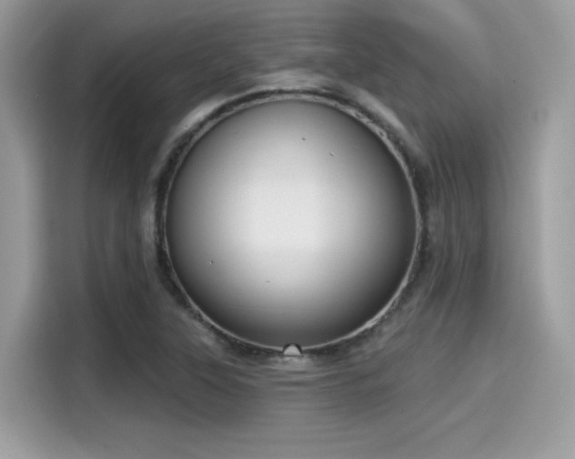 X0000115551315200911131556