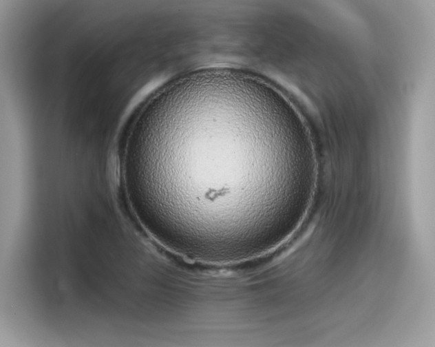 X0000115551317200911131556