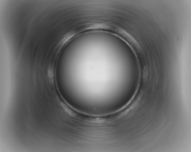 X0000115551321200911131556