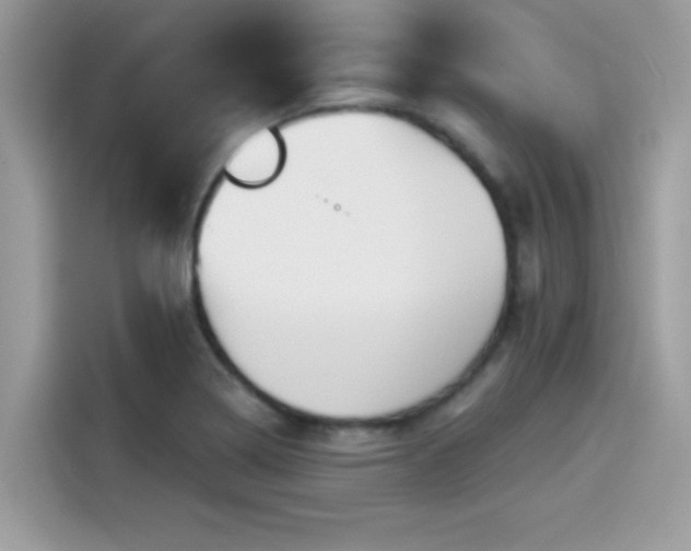 X0000115551322200911131556