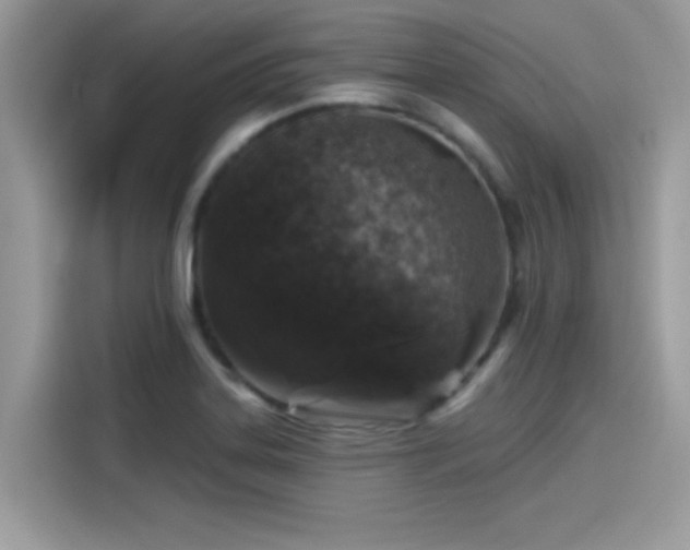 X0000115551323200911131556