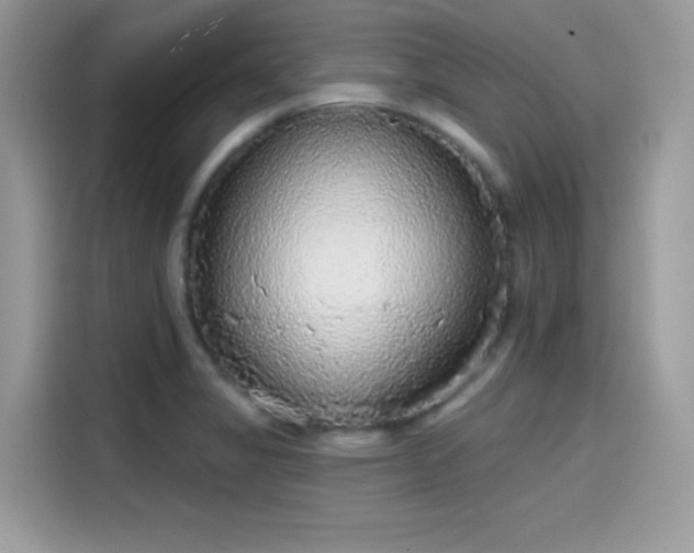 X0000115551325200911131556