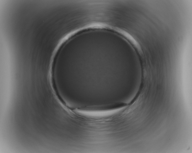 X0000115551327200911131556