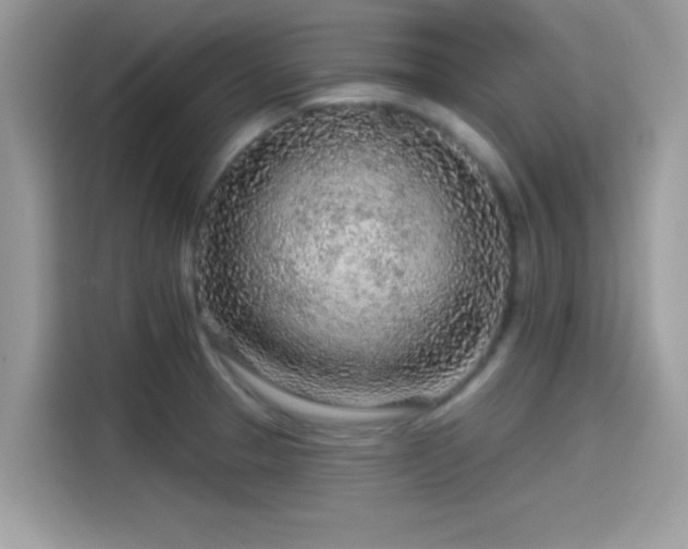 X0000115551329200911131556