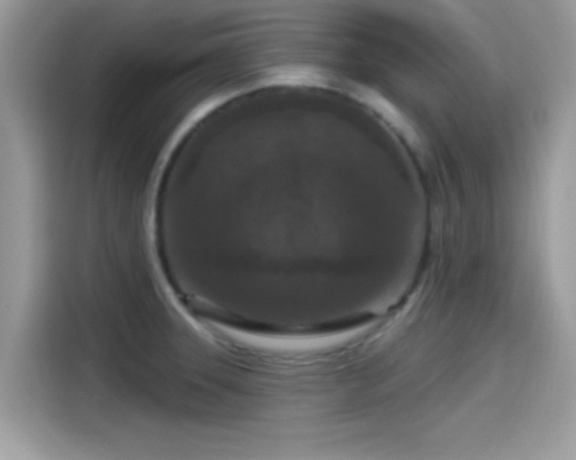 X0000115551331200911131556