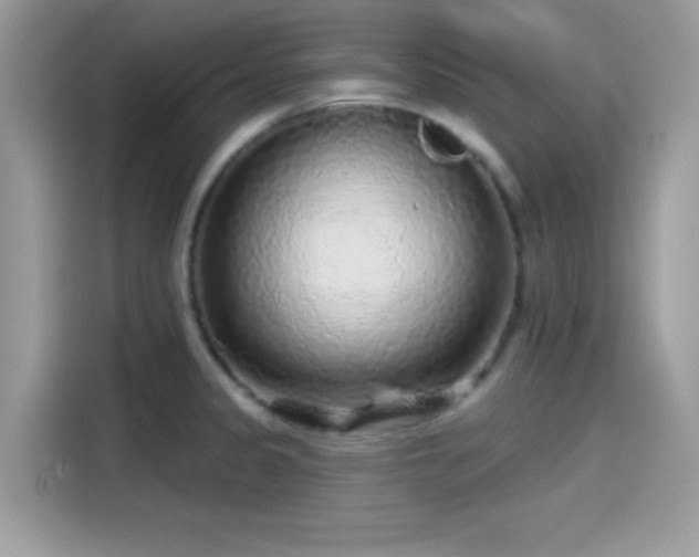 X0000115551333200911131556