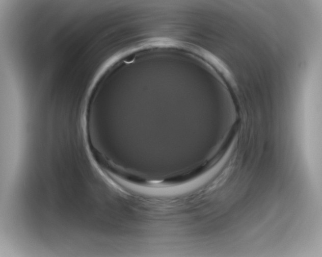 X0000115551334200911131556