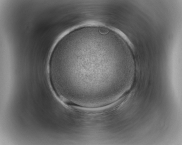 X0000115551335200911131556