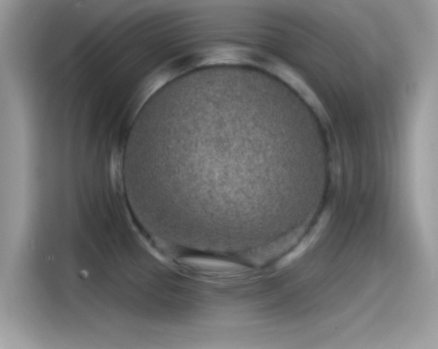 X0000115551337200911131556