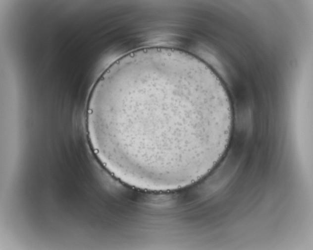 X0000115551338200911131556