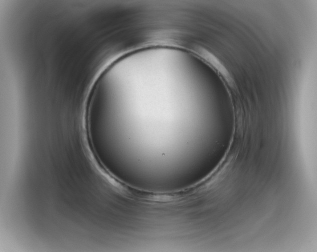 X0000115551339200911131556