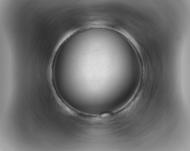 X0000115551341200911131556