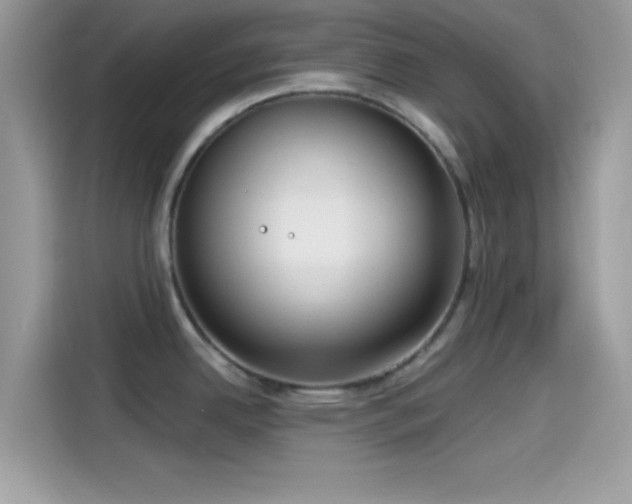 X0000115551342200911131556