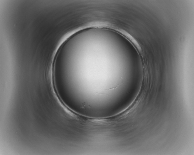 X0000115551343200911131556