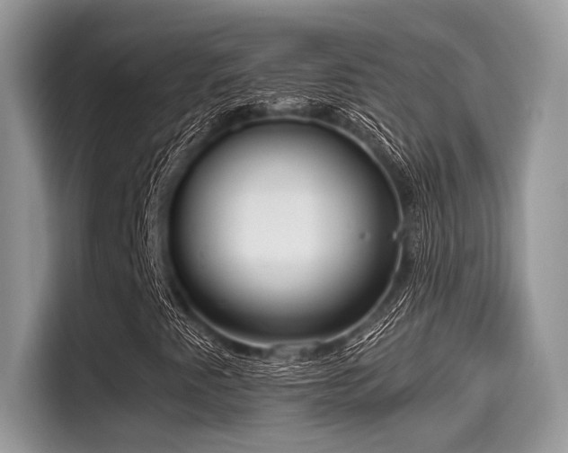 X0000115551345200911131556