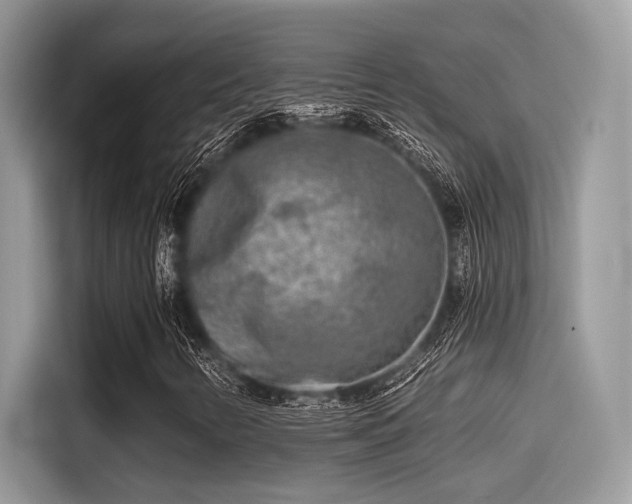 X0000115551346200911131556