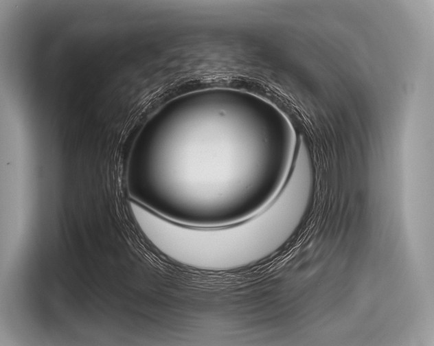 X0000115551348200911131556
