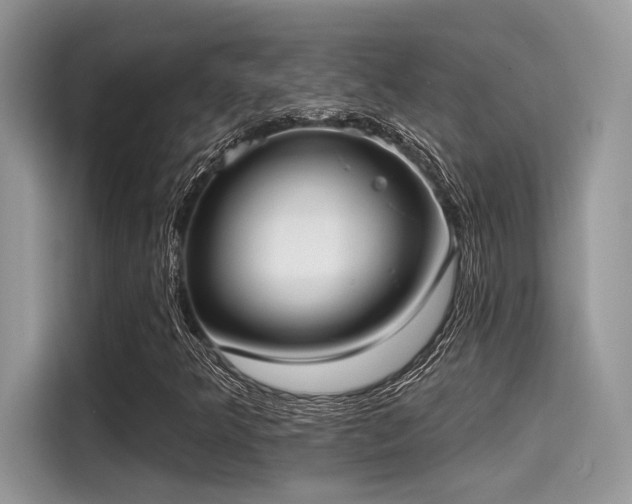 X0000115551349200911131556