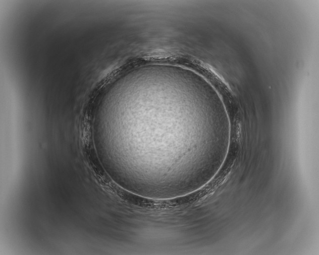 X0000115551350200911131556