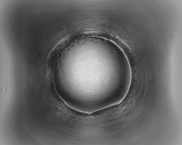 X0000115551351200911131556