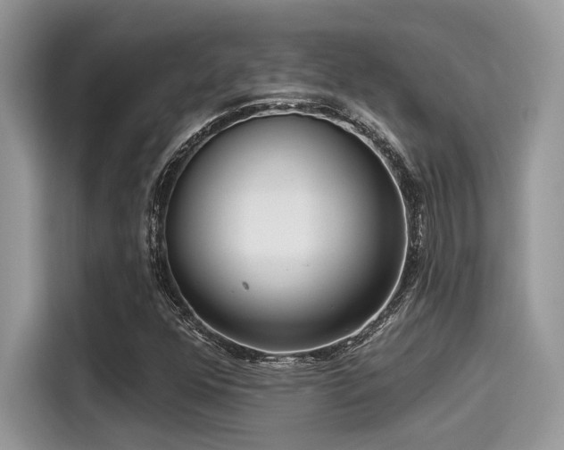 X0000115551352200911131556
