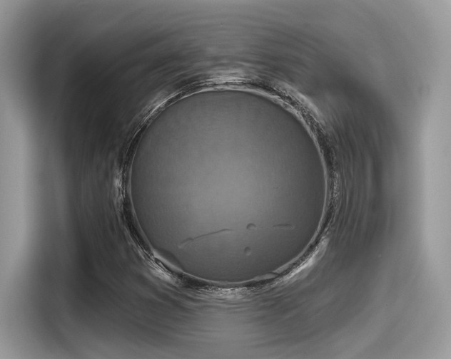 X0000115551353200911131556