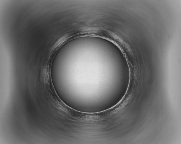 X0000115551354200911131556