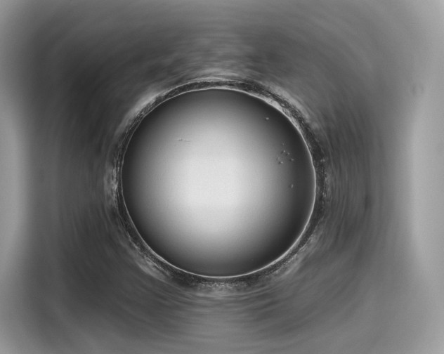 X0000115551355200911131556