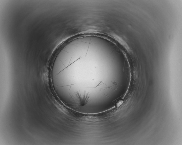 X0000115551356200911131556