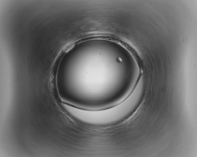X0000115551357200911131556