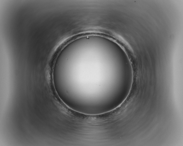 X0000115551360200911131556