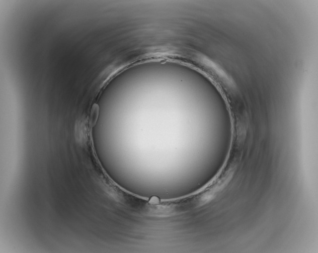 X0000115551361200911131556
