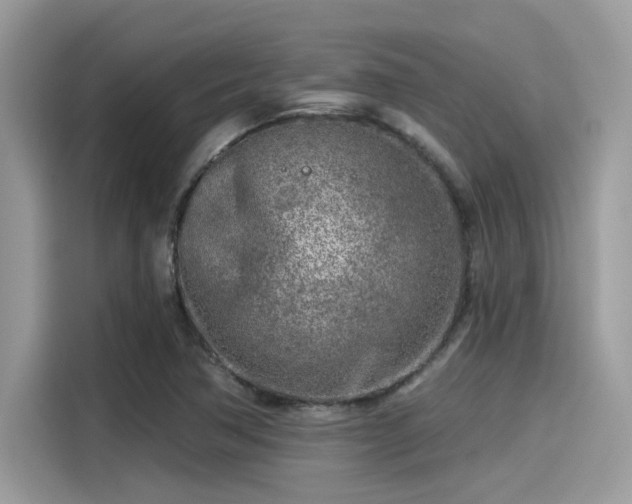 X0000115551362200911131556