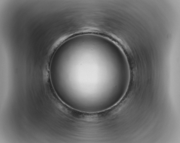 X0000115551363200911131556