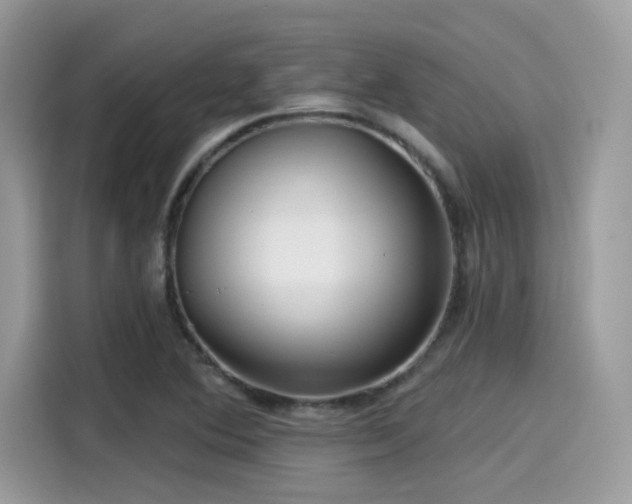 X0000115551364200911131556
