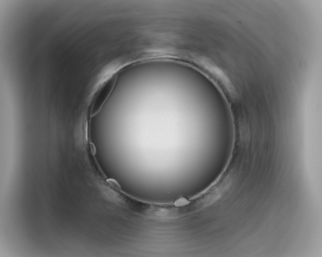 X0000115551365200911131556