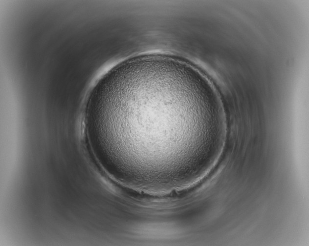 X0000115551367200911131556