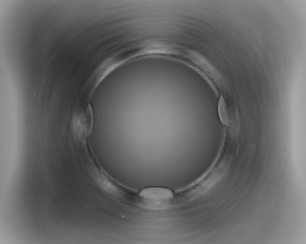 X0000115551369200911131556