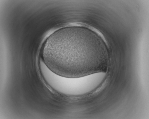 X0000115551373200911131555