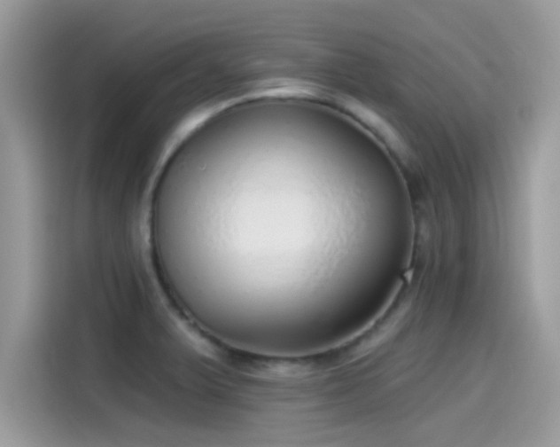 X0000115551375200911131555