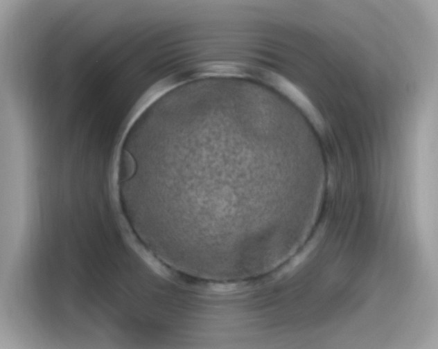 X0000115551378200911131555