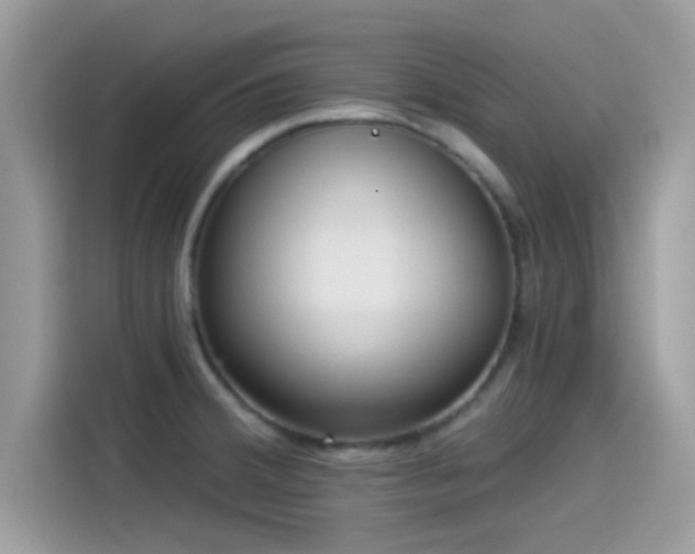 X0000115551380200911131555