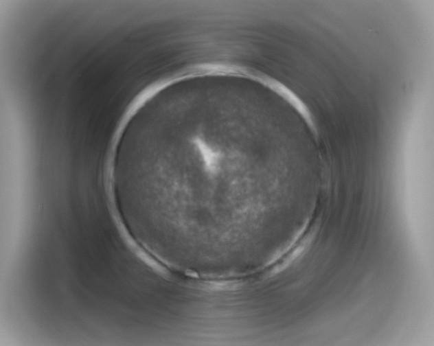 X0000115551381200911131555