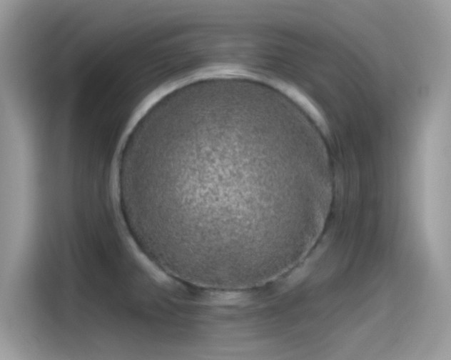 X0000115551382200911131555