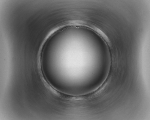 X0000115551384200911131555