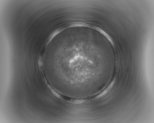 X0000115551385200911131555