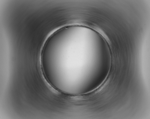 X0000115551388200911131555
