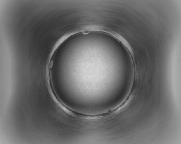 X0000115551389200911131555